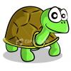 tortoise's Avatar
